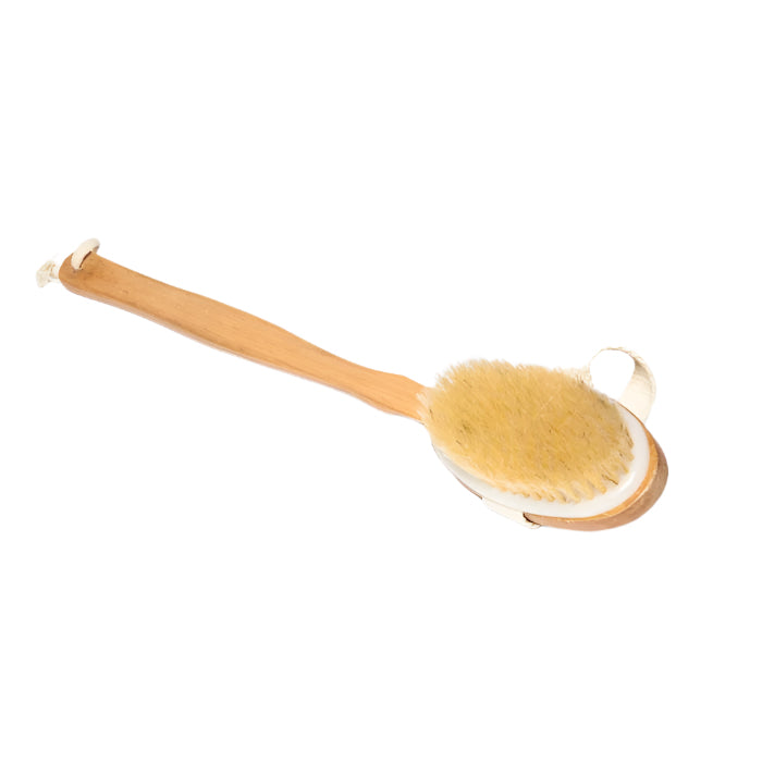 Long Handled Body Brush w/ Detachable Head